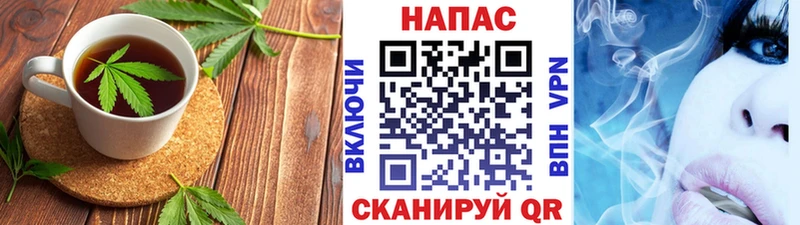 Canna-Cookies марихуана  Новосокольники 