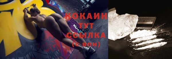 гидра Верхний Тагил