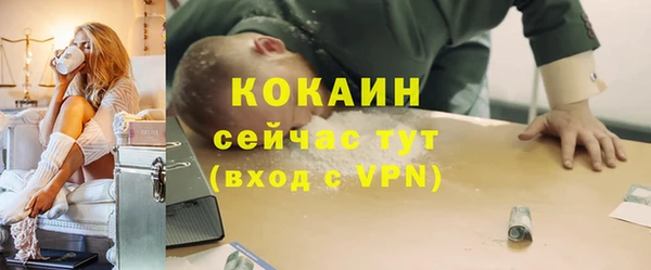 гидра Верхний Тагил