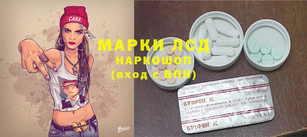 гидра Верхний Тагил