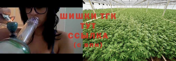 гидра Верхний Тагил
