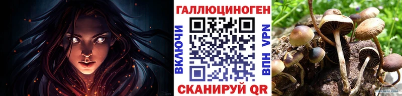 KRAKEN зеркало  Новосокольники  площадка официальный сайт  Галлюциногенные грибы MAGIC MUSHROOMS 